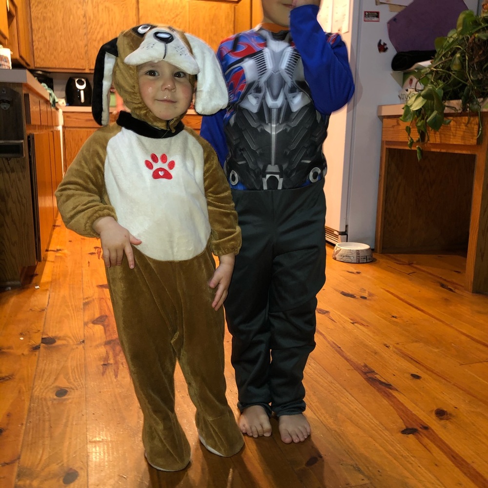 Doggy Halloween costume size 2T